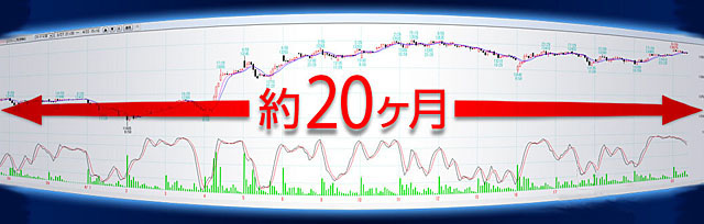 約20か月