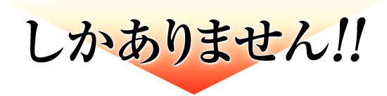 しかありません！