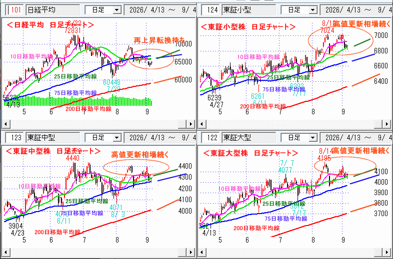 日経平均　日足チャート