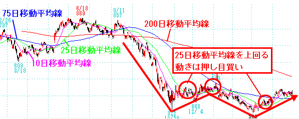 参考画像